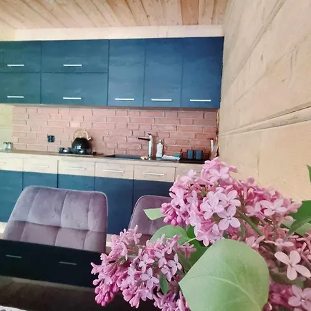 Na Zboczu Chalet Ochotnica Gorna